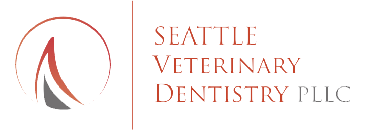 Seattle Veterinary Dentistry
